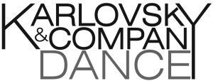 dk-logo