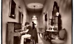 ride-hamilton-tennessee-williams-fest ride-hamilton-tennessee-williams-fest